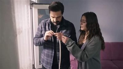 article