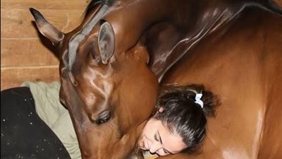 article